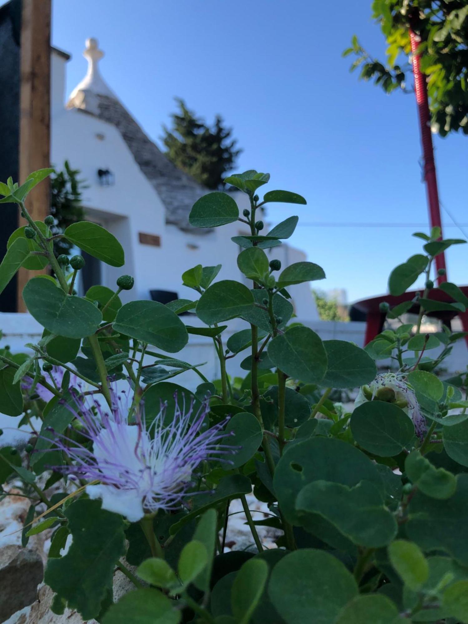 Trullo Trilli Puglia Martina Franca Exterior foto