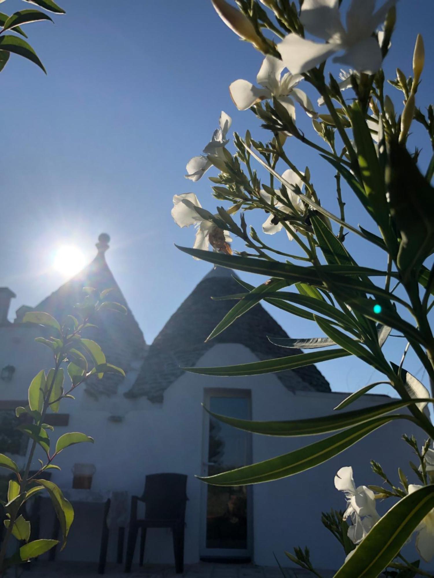 Trullo Trilli Puglia Martina Franca Exterior foto