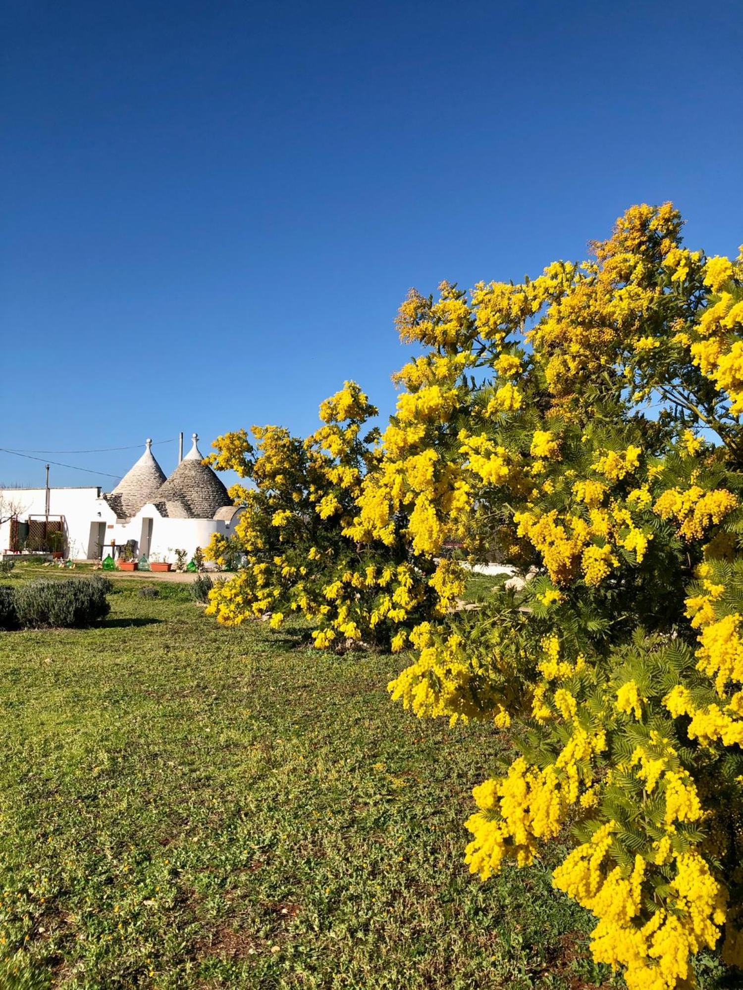 Trullo Trilli Puglia Martina Franca Exterior foto
