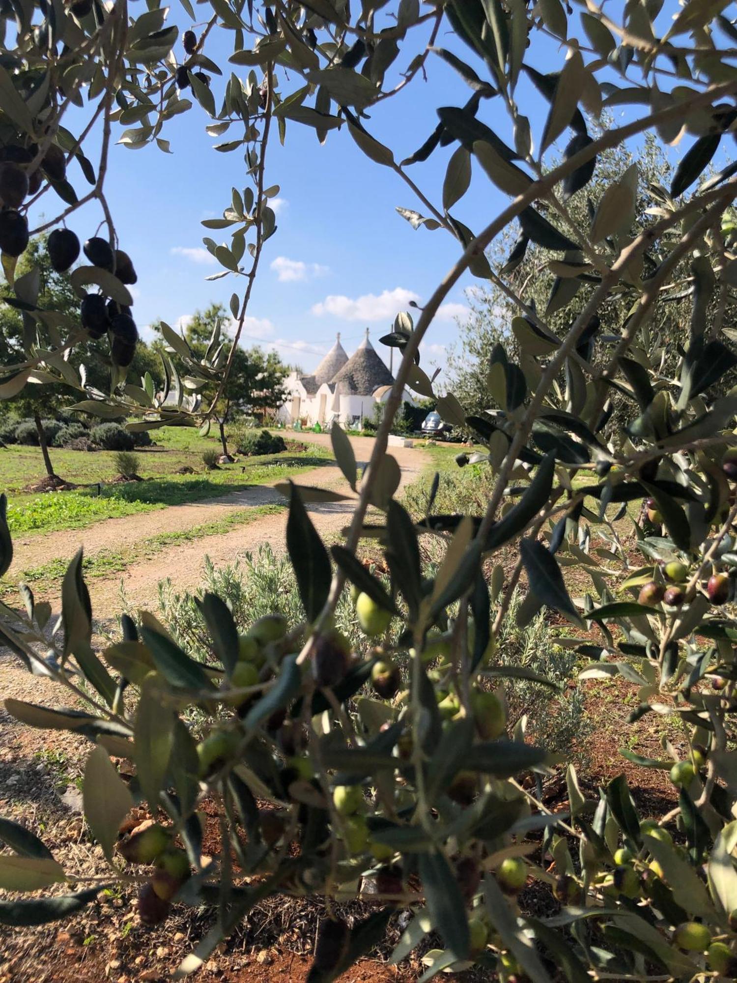 Trullo Trilli Puglia Martina Franca Exterior foto