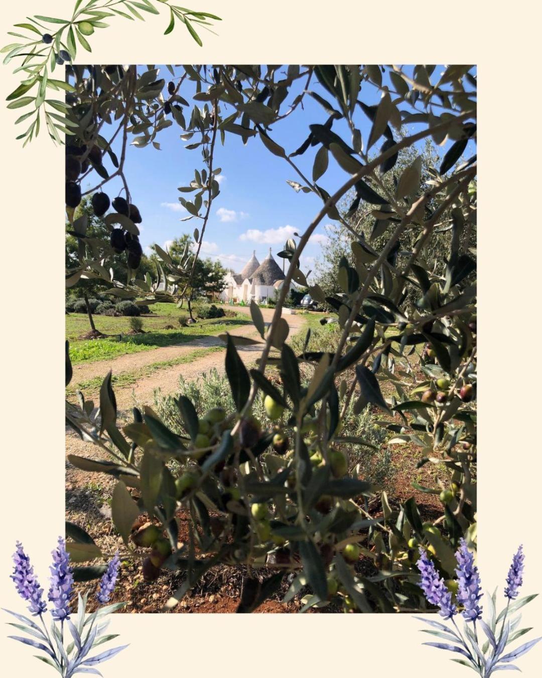 Trullo Trilli Puglia Martina Franca Exterior foto
